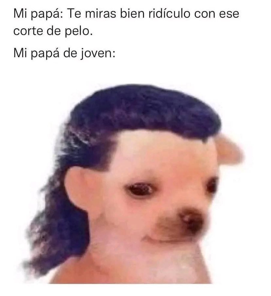 Mi papá: Te miras bien ridículo con ese corte de pelo.  Mi papá de joven: