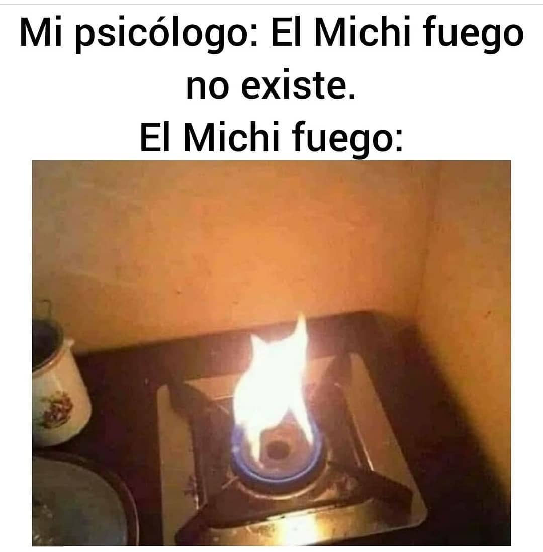 Mi psicólogo: El Michi fuego no existe.  El Michi fuego:
