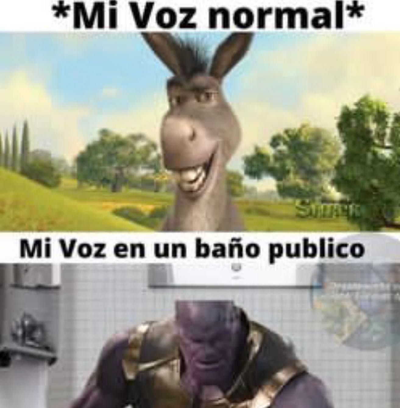 *Mi voz normal* Mi voz en un baño público.