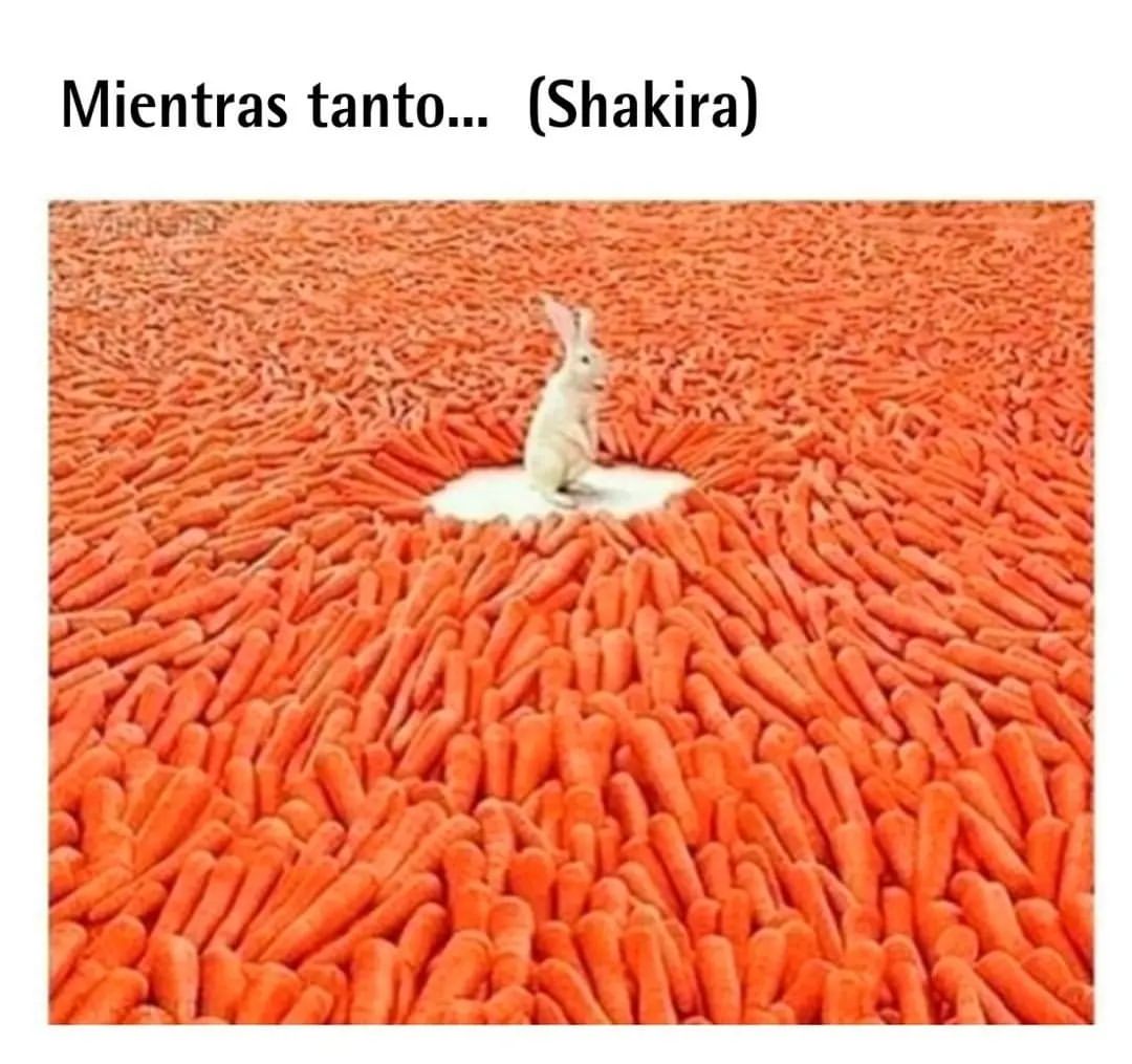 Mientras tanto... (Shakira)