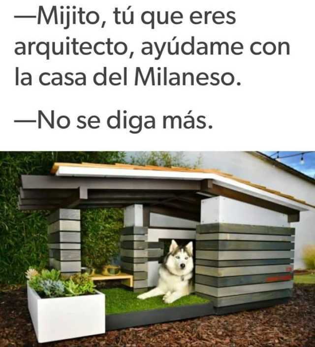 Mijito, tú que eres arquitecto, ayúdame con la casa del Milaneso.  No se diga más.