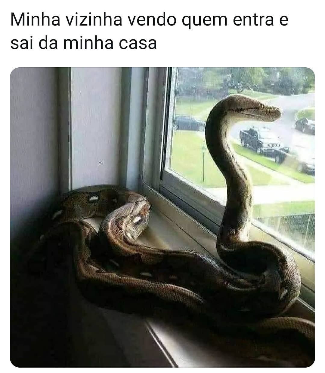 Minha vizinha vendo quem entra e sai da minha casa.