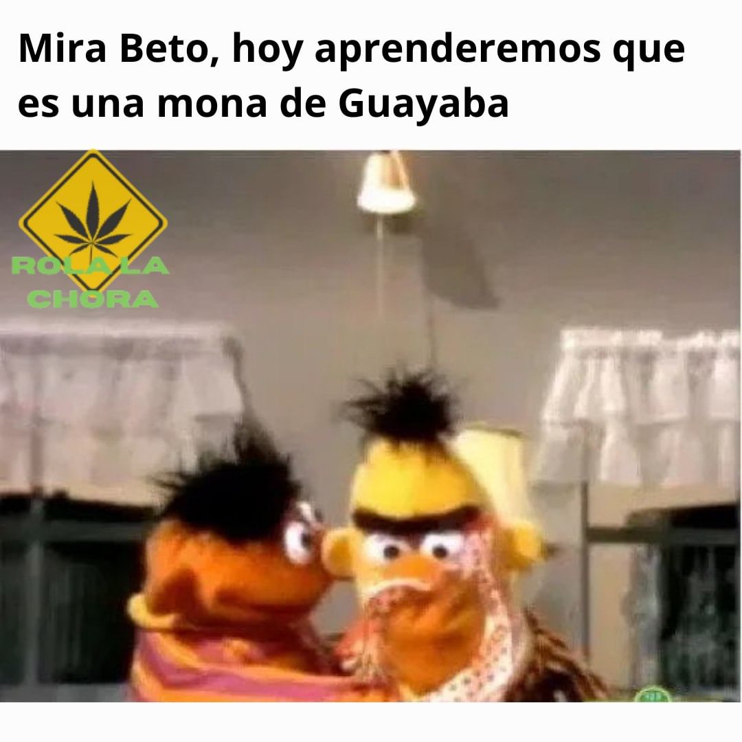 Mira Beto, hoy aprenderemos que es una mona de Guayaba.