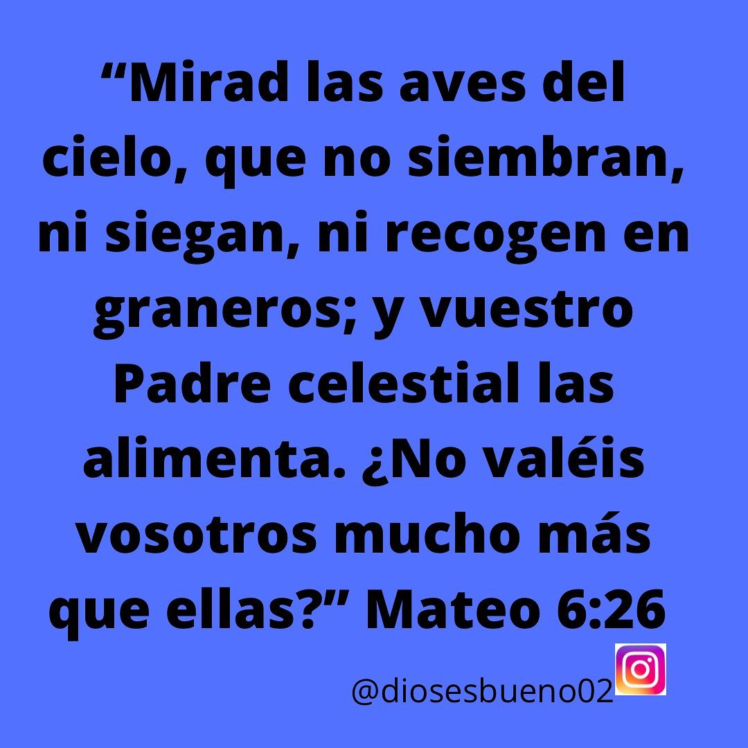 Mirad las aves del cielo, que no siembran, ni siegan, ni recogen en graneros; y vuestro Padre celestial las alimenta. ¿No valéis vosotros mucho más que ellas? Mateo 6:26.