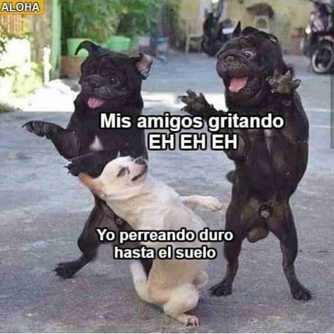 Mis amigos gritando eheheh. Yo perreando duro hasta el suelo.