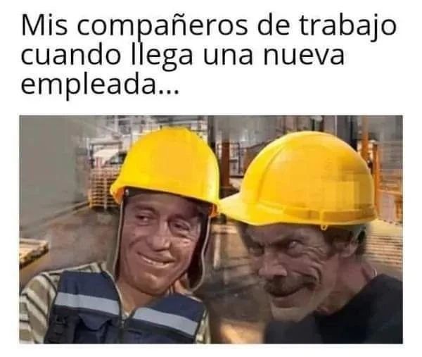 Mis compañeros de trabajo cuando llega una nueva empleada...