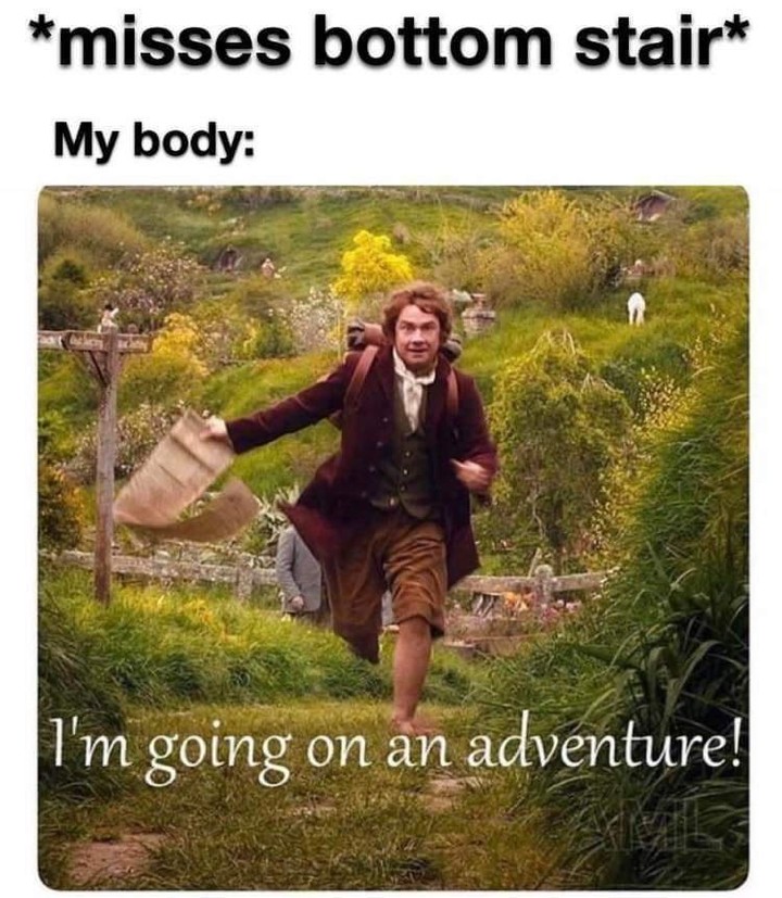 *Misses bottom stair*  My body: I'm going on an adventure!