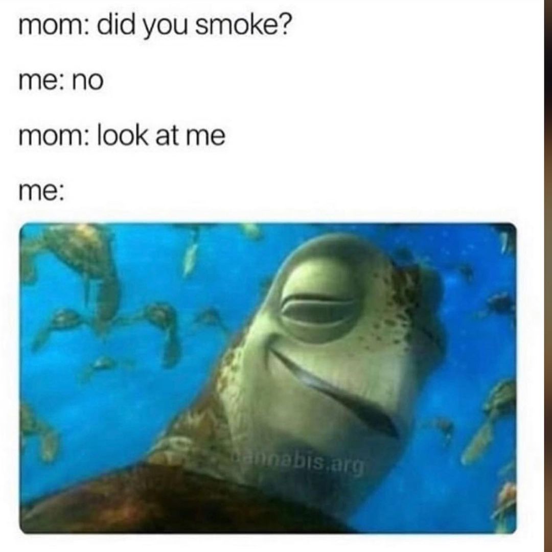 Mom: did you smoke? Me: No. Mom: Look at me. Me: