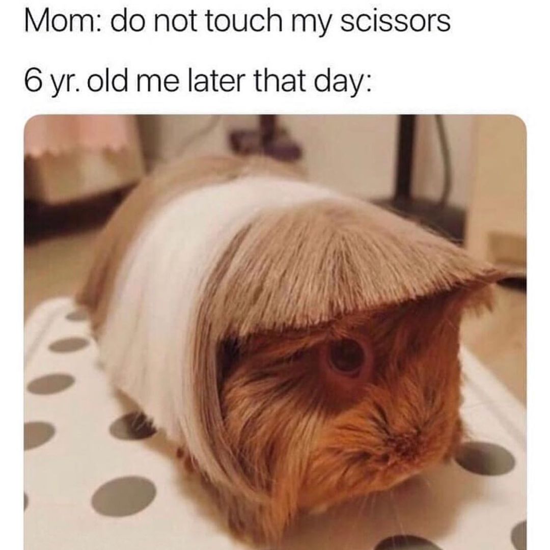 Mom: Do not touch my scissors. 6 yr. old me later that day: