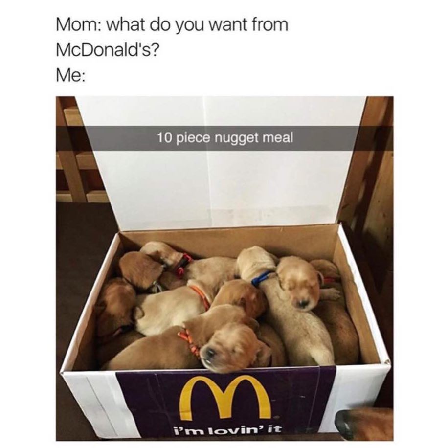 Mom: What do you want from McDonalds? Me: 10 piece nugget meal!