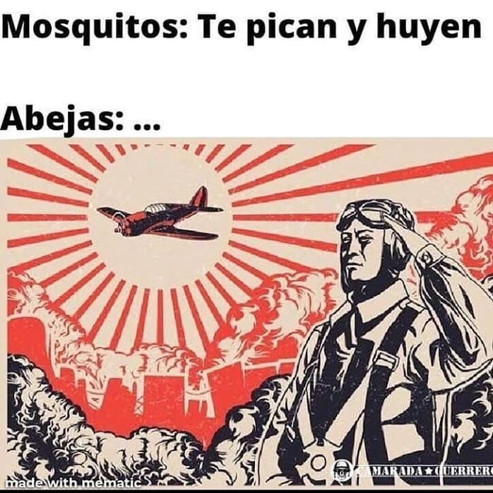 Mosquitos: Te pican y huyen.  Abejas:...