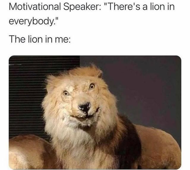Motivational Speaker: "There's a lion in everybody." The lion in me:
