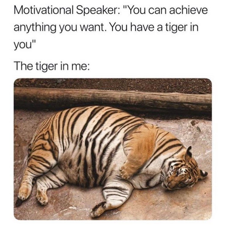 Motivational Speaker: "You can achieve anything you want. You have a tiger in you".  The tiger in me: