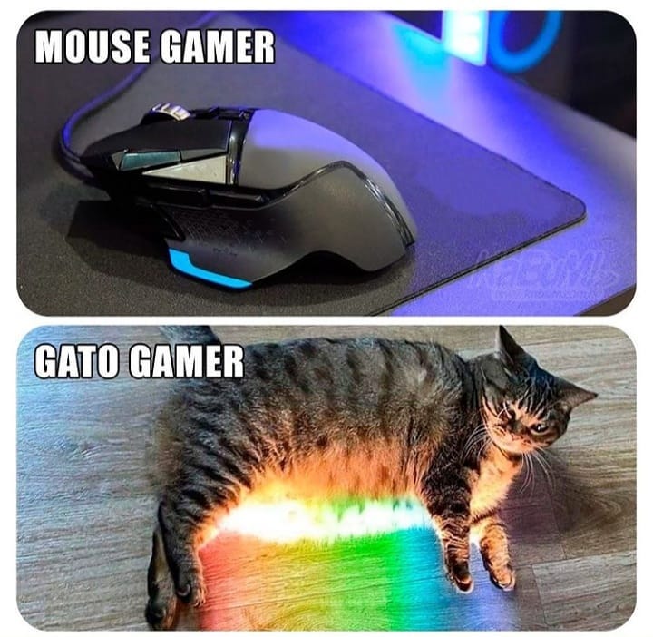 Mouse Gamer. Gato gamer.