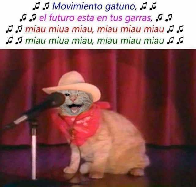 Movimiento gatuno, el futuro está en tus garras, miau miua miau, miau miau miau, miau miau miau.