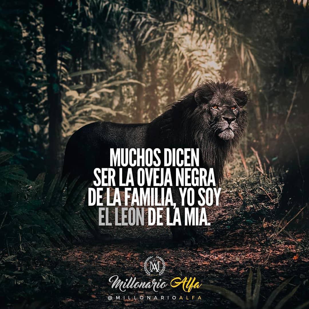 Muchos dicen ser la oveja negra de la familia, yo soy el león de la mía.