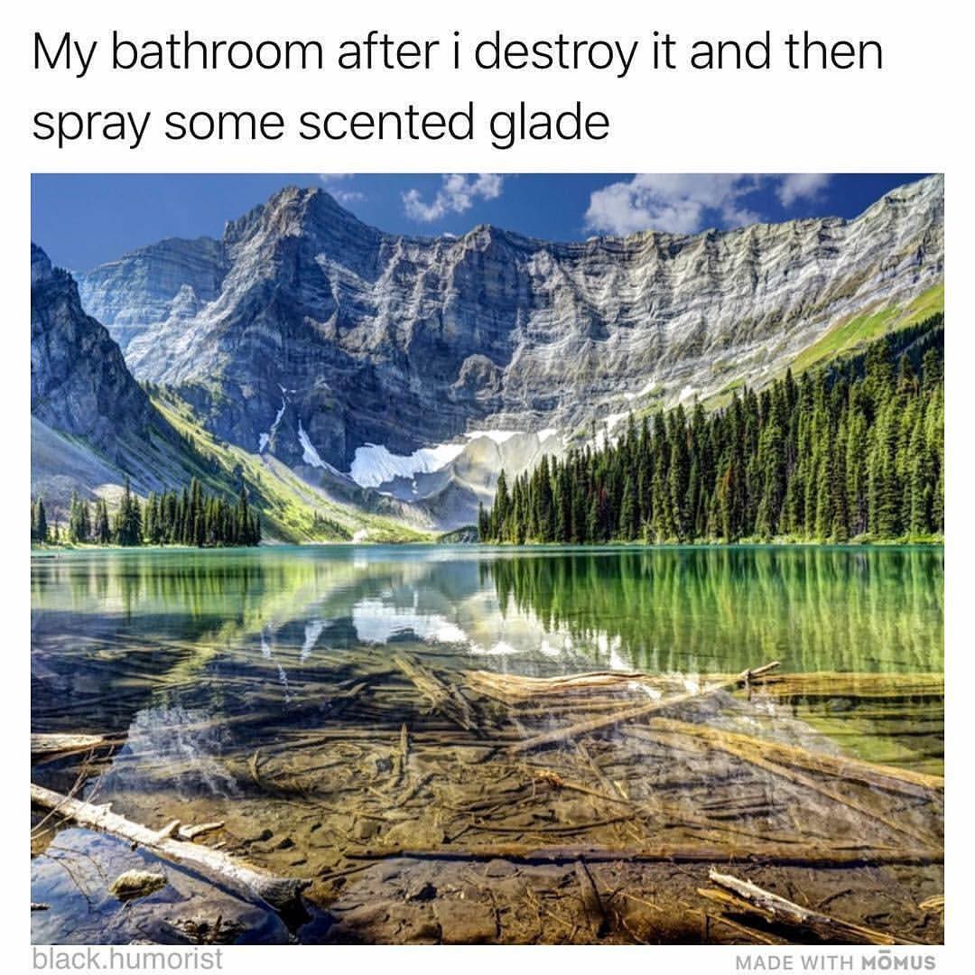 My bathroom after I destroy it and then spray some scented glade.