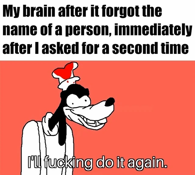 My brain after it forgot the name of a person, immediately after I asked for a second time.  I'll fucking do it again.