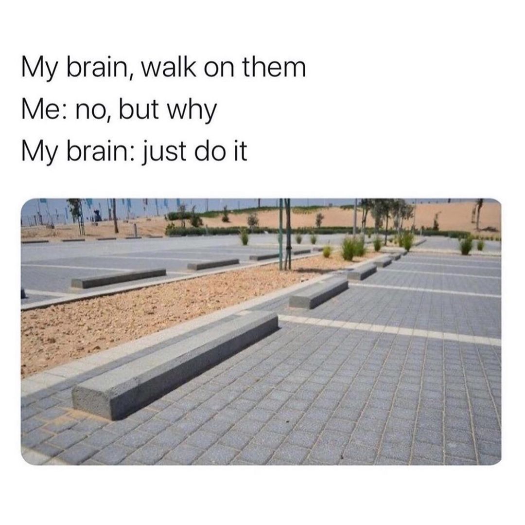 My brain, walk on them.  Me: no, but why.  My brain: just do it.