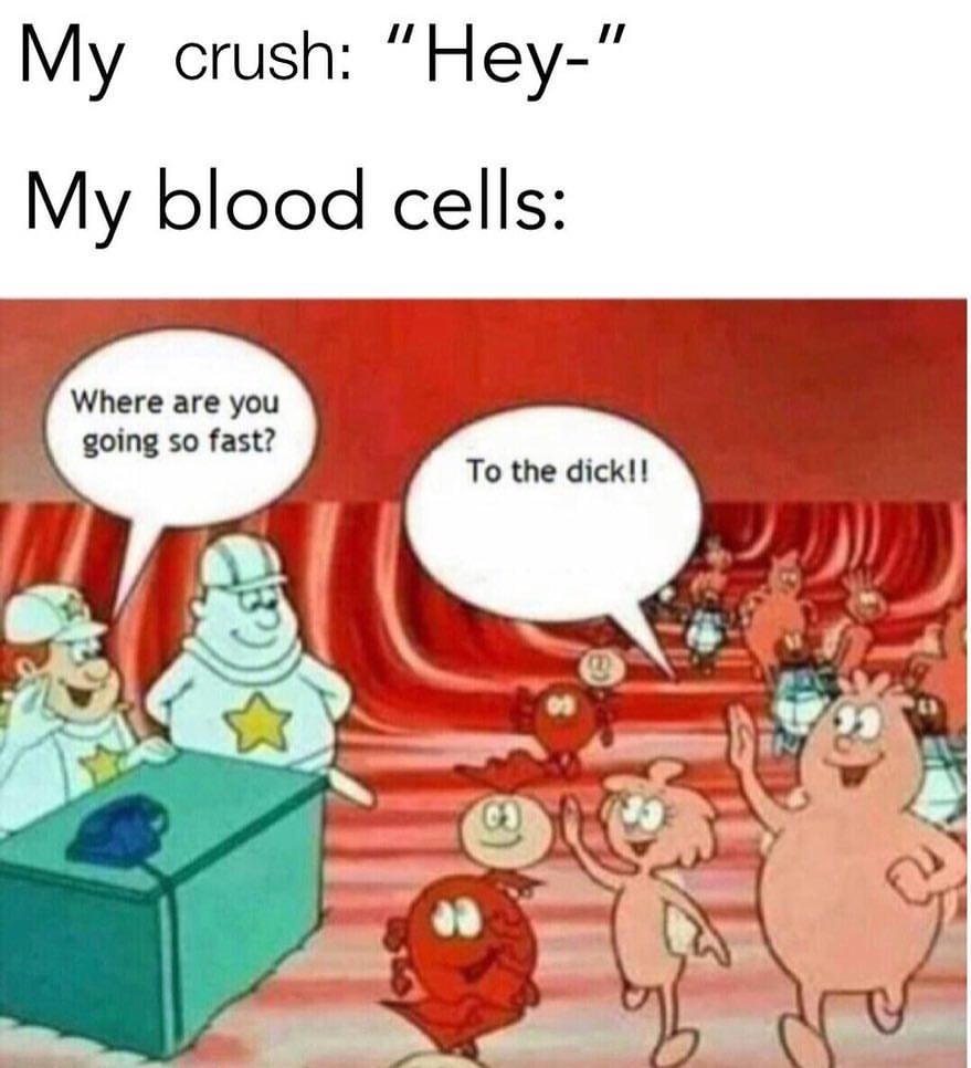 My crush: "Hey-".  My blood cells: Where are you going so fast? To the dick.