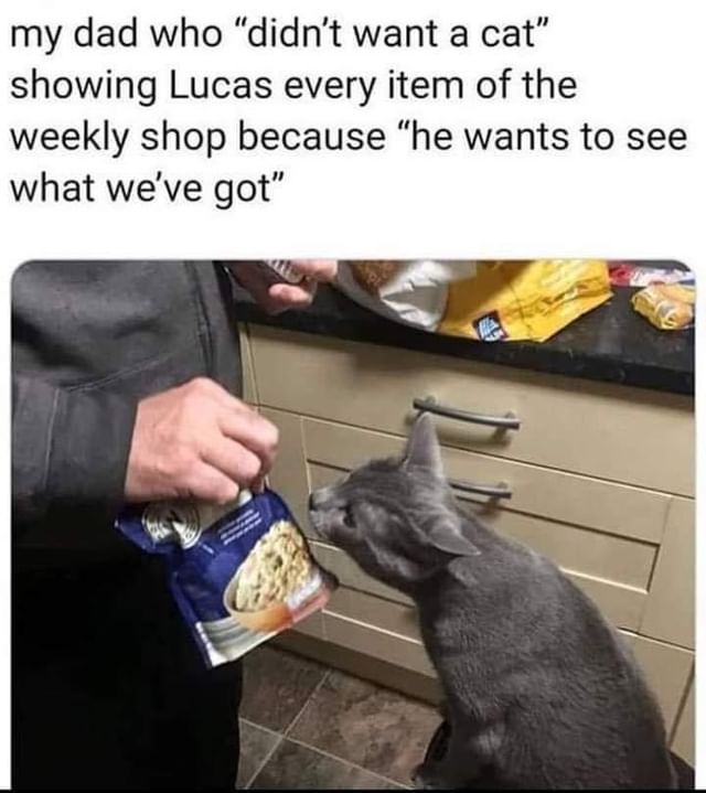 My dad who "didn't want a cat" showing Lucas every item of the weekly shop because "he wants to see what we've got".