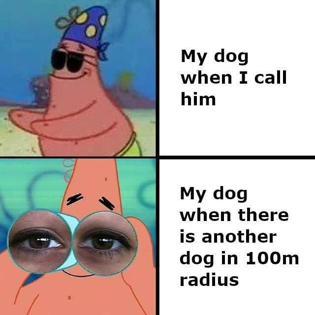 My dog when I call him.  My dog when there is another dog in 100m radius.