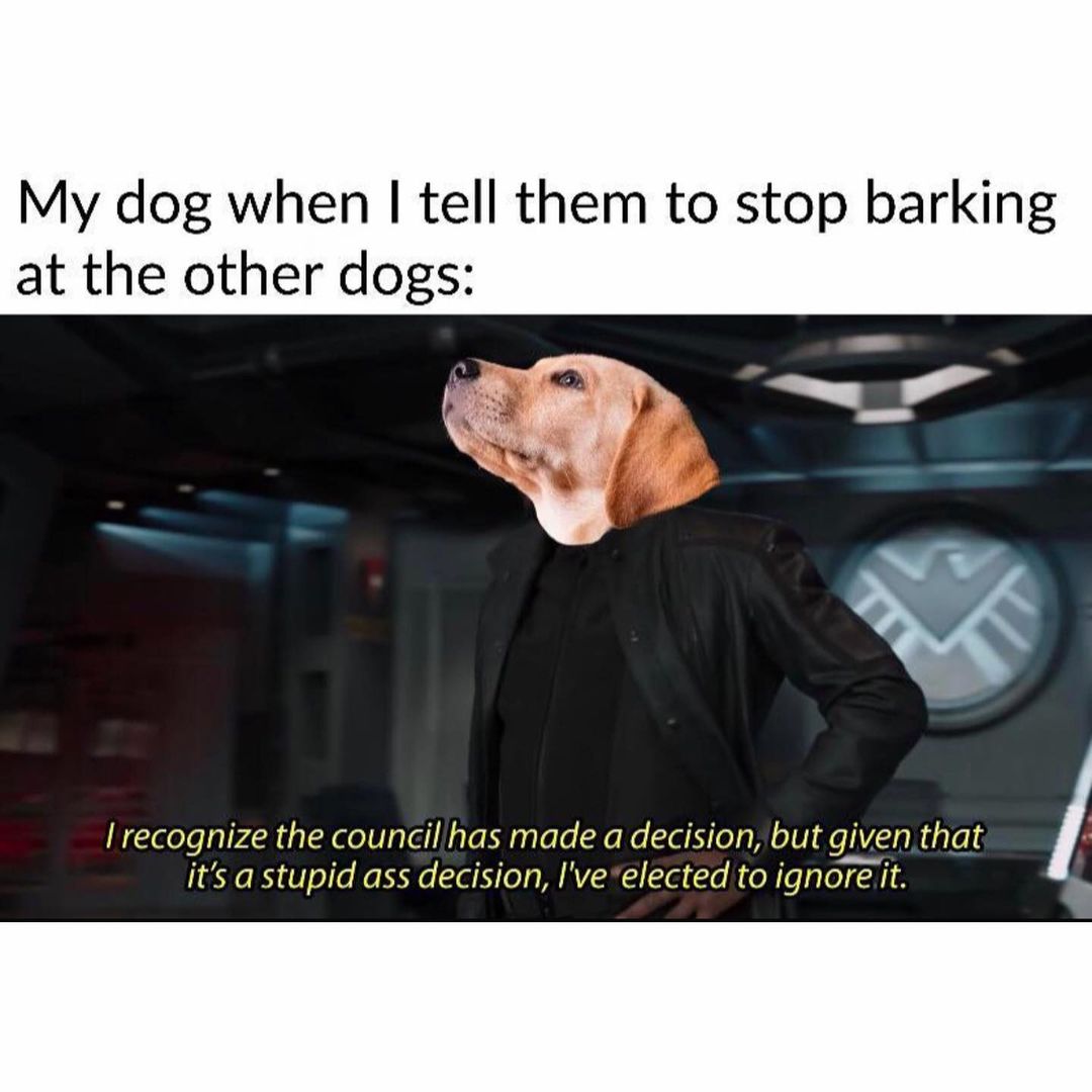 My dog when I tell them to stop barking at the other dogs: I recognize the council has made a decision, but given that it's a stupid ass decision, I've elected to ignore it.