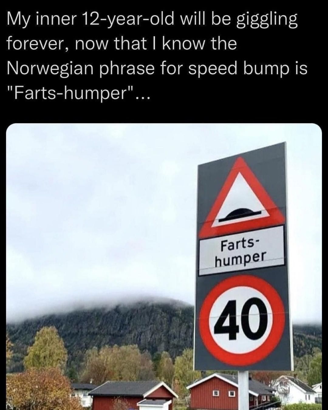 My inner 12-year-old will be giggling forever, now that I know the Norwegian phrase for speed bump is "Farts-humper"...