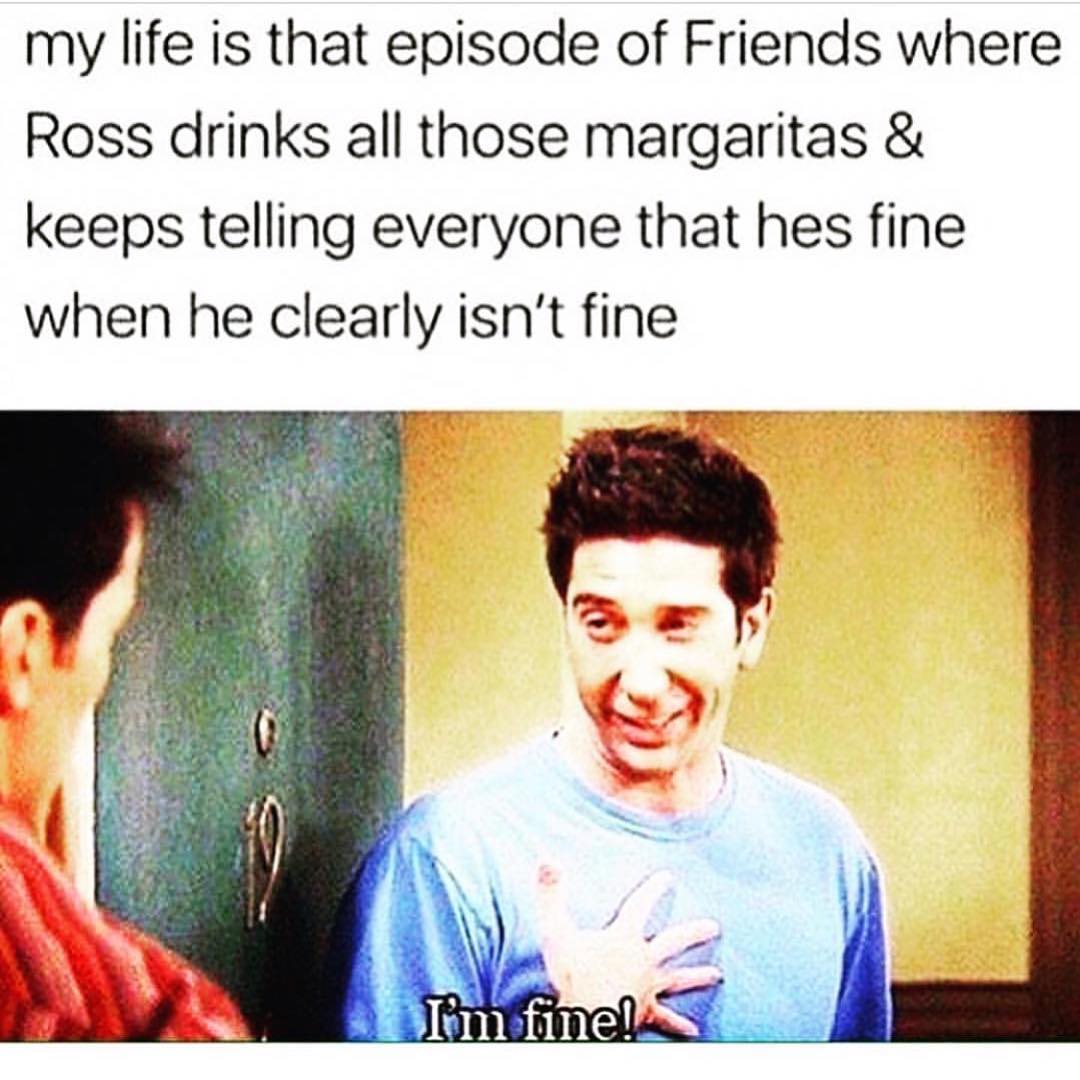 My life is that episode of Friends where Ross drinks all those margaritas & keeps telling everyone that hes fine when he clearly isn't fine.  I'm fine!