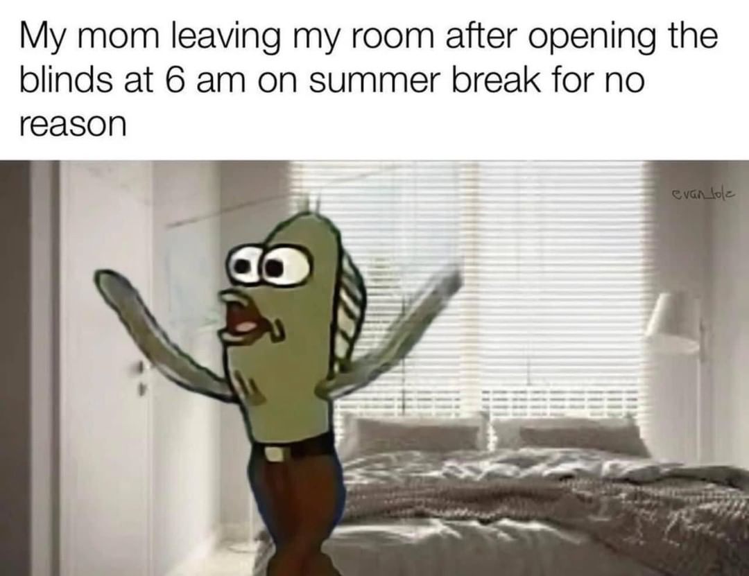 My mom leaving my room after opening the blinds at 6 am on summer break for no reason.