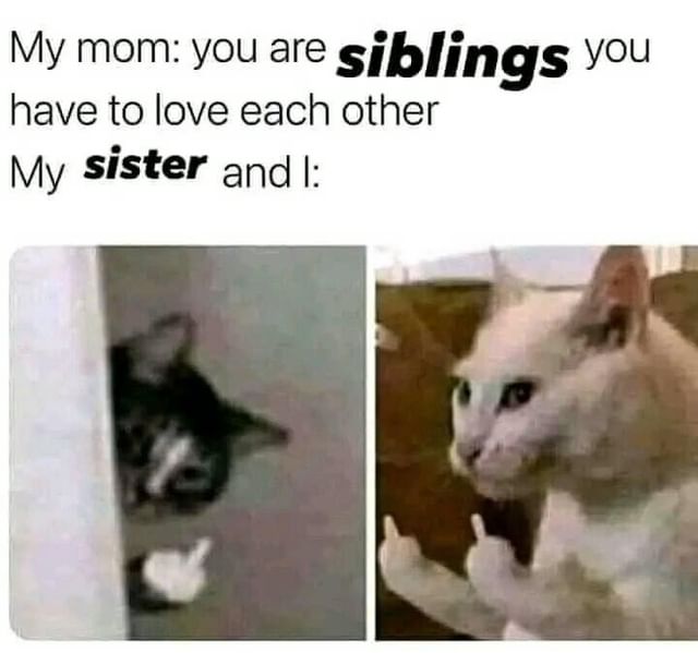 My mom: you are siblings you have to love each other. My sister and I: