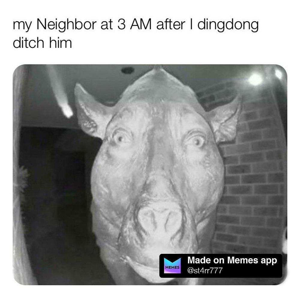 My Neighbor at 3 AM after I dingdong ditch him.