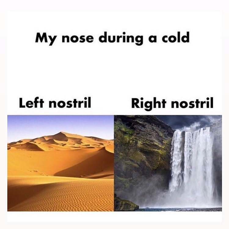My nose during a cold. Left nostril. Right nostril.