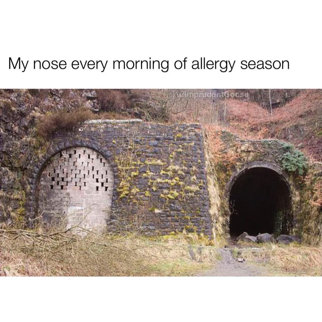 My nose every morning of allergy season.
