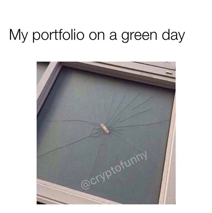 My portfolio on a green day.