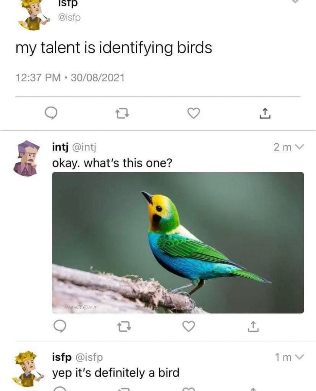 My talent is identifying birds. Okay. What's this one? Yep it's definitely a bird.