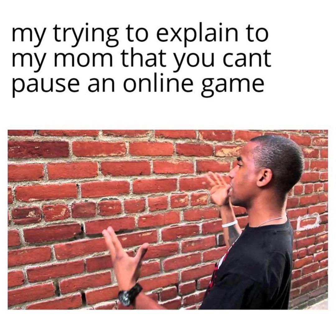 My trying to explain to my mom that you cant pause an online game.