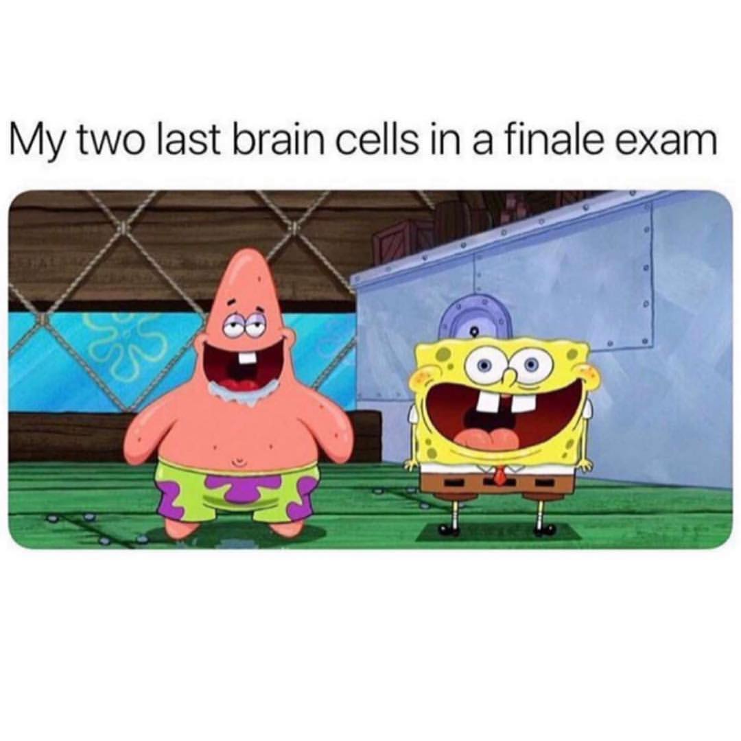 My two last brain cells in a finale exam.