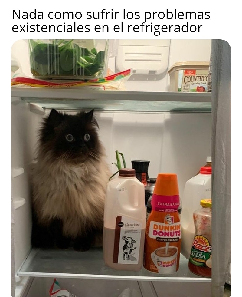 Nada como sufrir los problemas existenciales en el refrigerador.