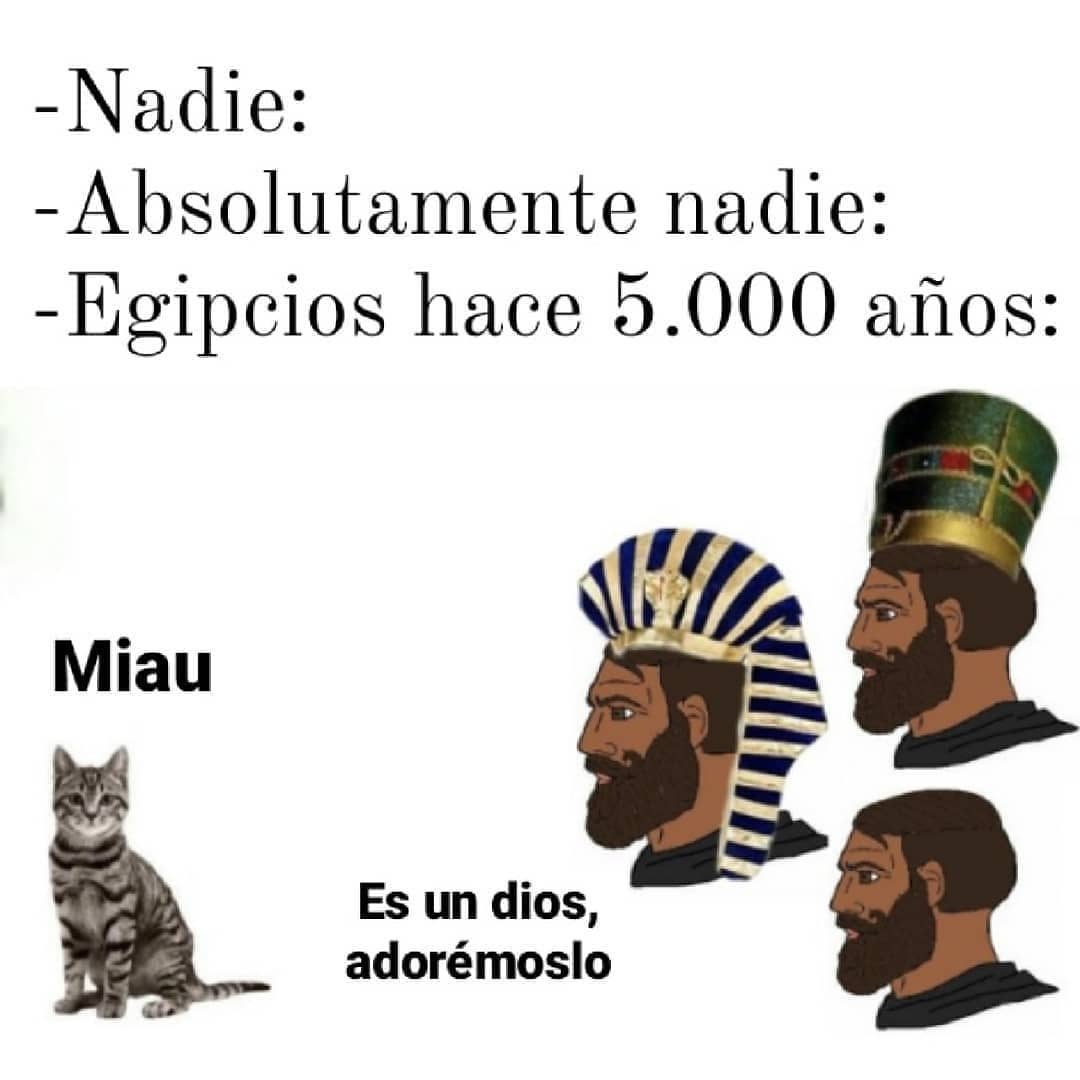 Nadie: Absolutamente nadie:  Egipcios hace 5.000 años: Miau. Es un dios, adorémoslo.