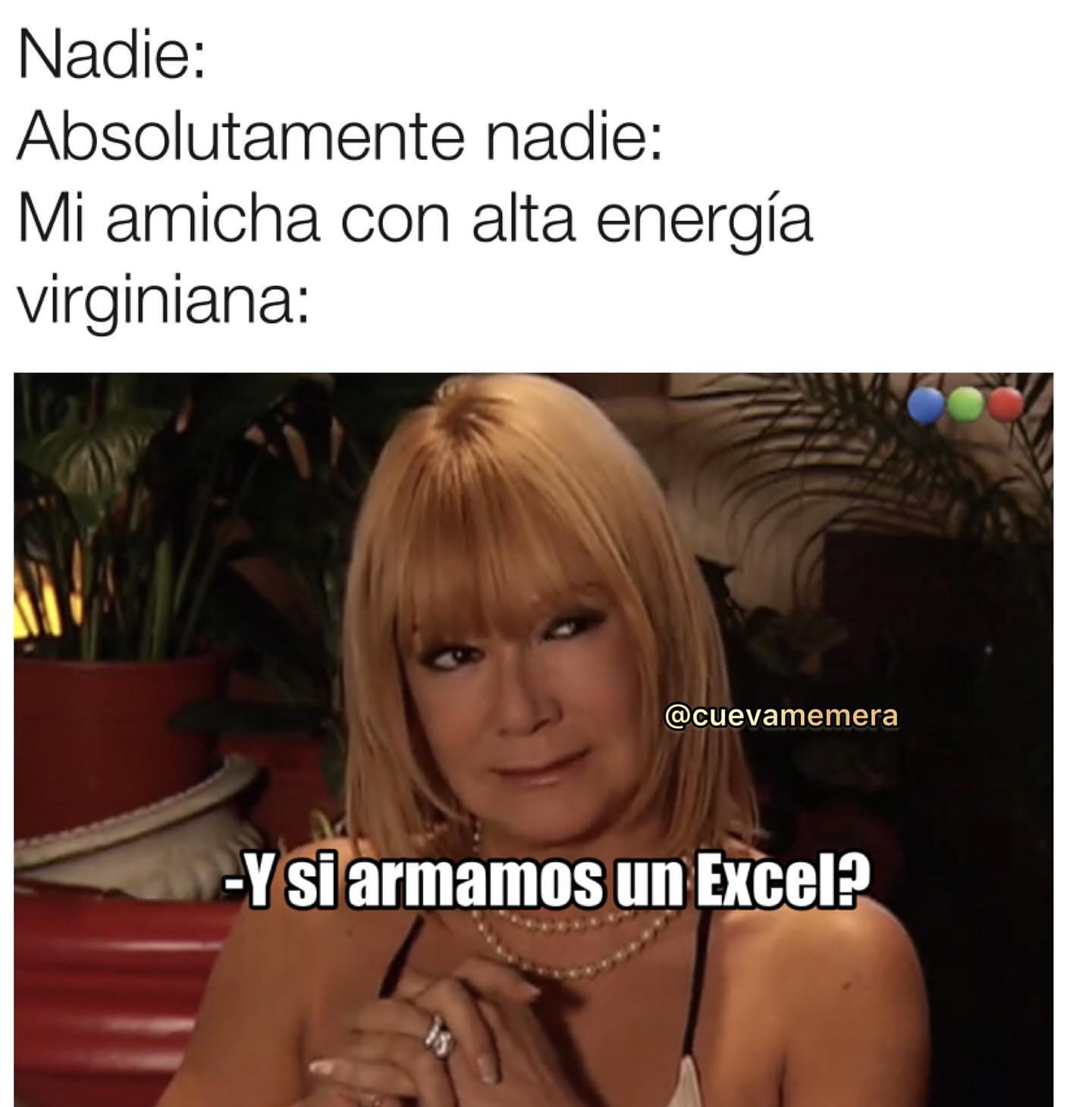 Nadie: Absolutamente nadie: Mi amicha con alta energía virginiana: Y si armamos un Excel?