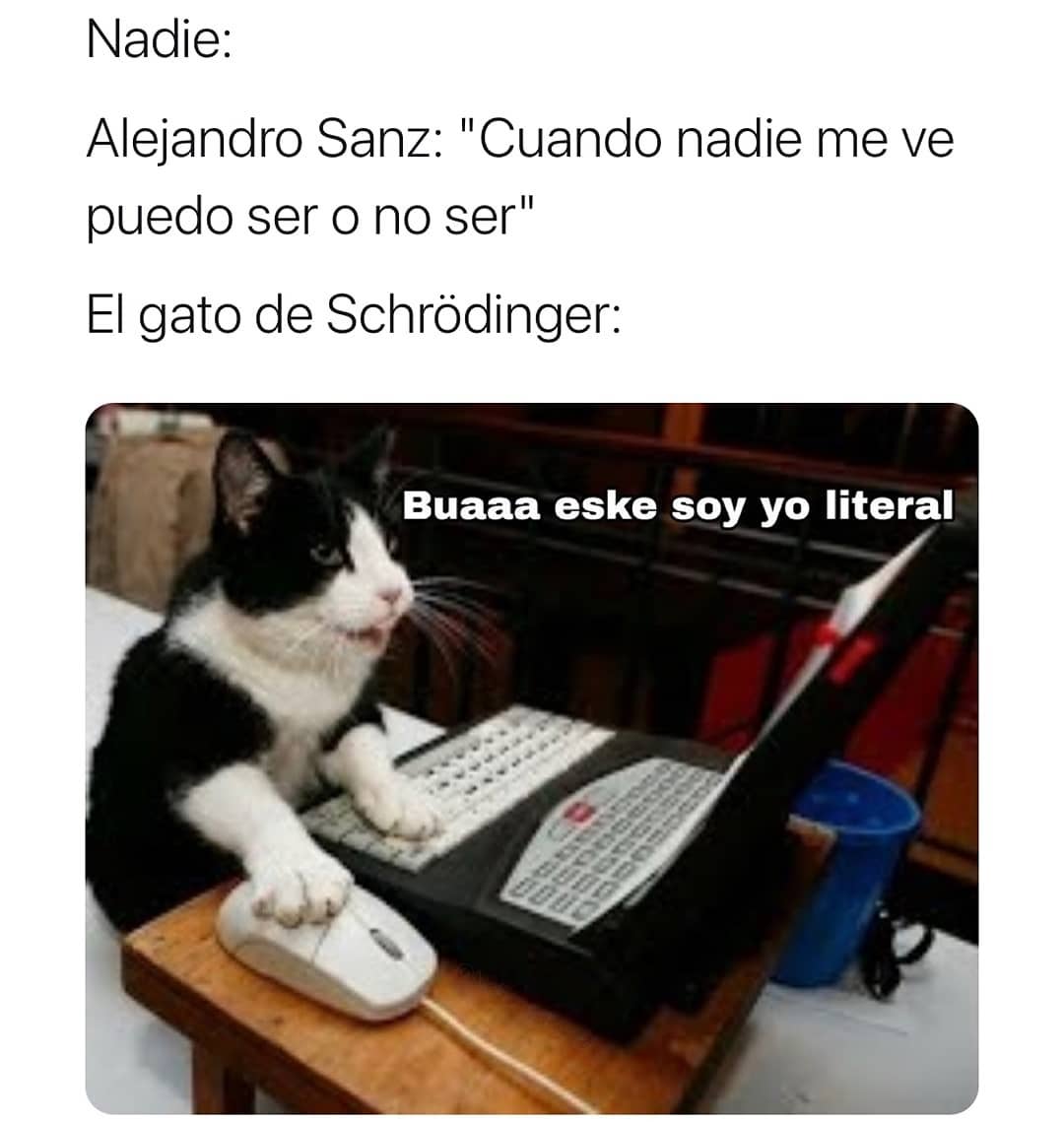 Nadie: Alejandro Sanz: "Cuando nadie me ve puedo ser o no ser" El gato de Schrôdinger: Buaaa eske soy yo literal.