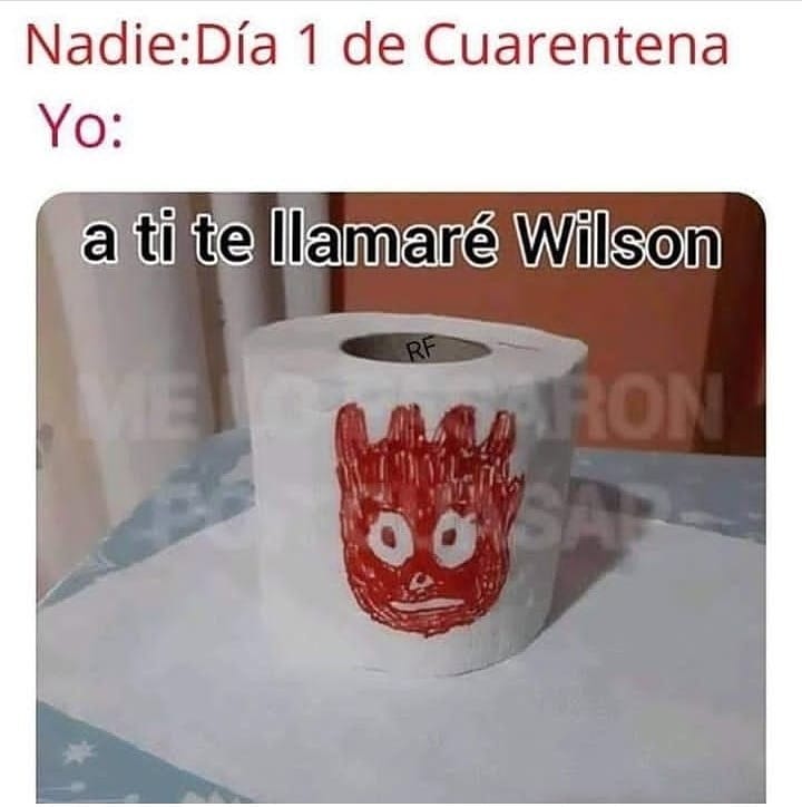 Nadie: Día 1 de Cuarentena.  Yo: a ti te llamaré Wilson.