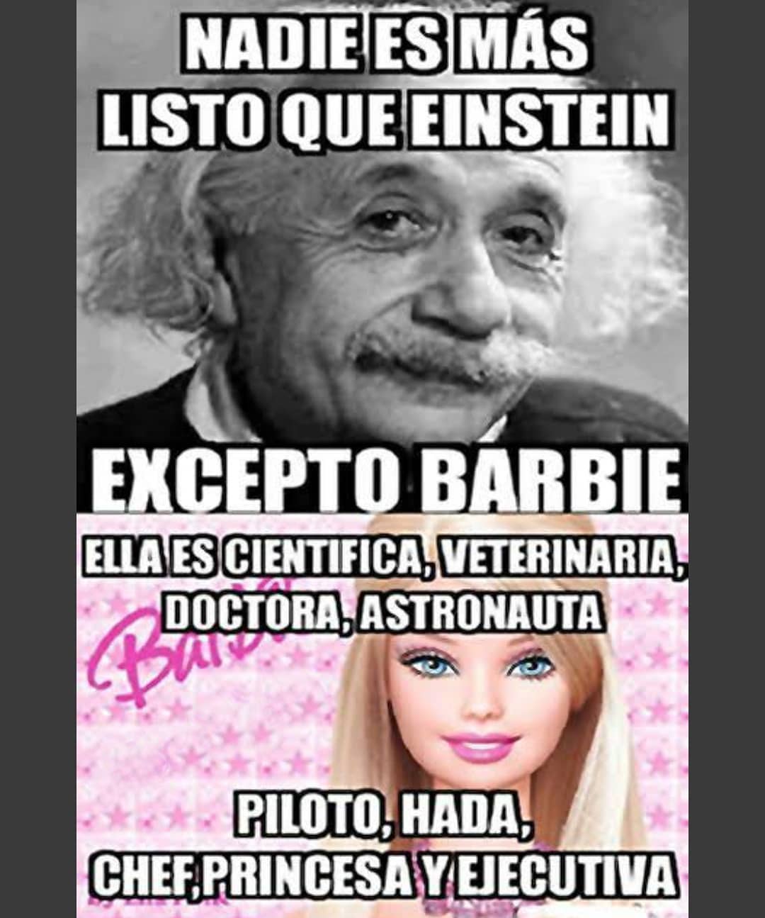 Nadie es más listo que Einstein excepto Barbie, ella es cientifica, veterinaria, doctora, astronauta piloto, hada, chef, princesa y ejecutiva.