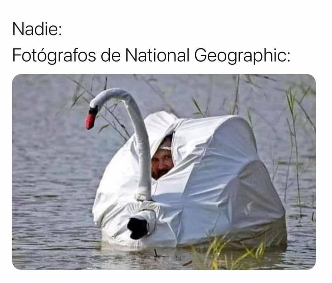 Nadie:  Fotógrafos de National Geographic: