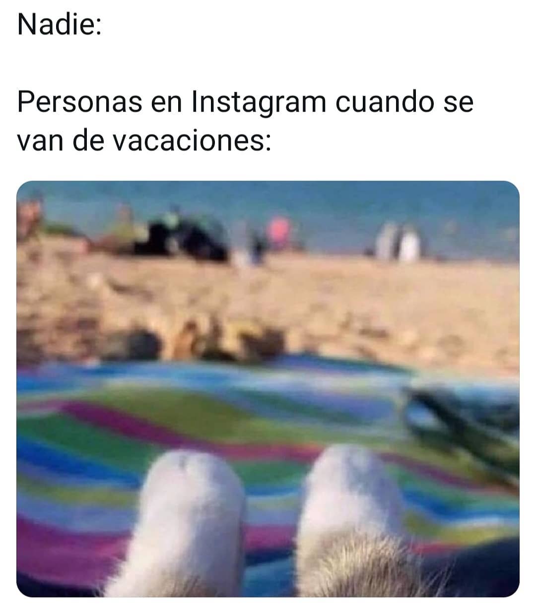Nadie: Personas en Instagram cuando se van de vacaciones: