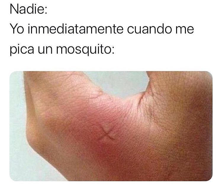 Nadie:  Yo inmediatamente cuando me pica un mosquito.