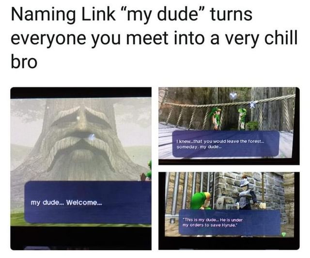 Naming Link "my dude" turns everyone you meet into a very chill bro. My dude... Welcome. I know... that you would leave the forest... someday my due. This is my dude... He is under my orders to save Hyrule.