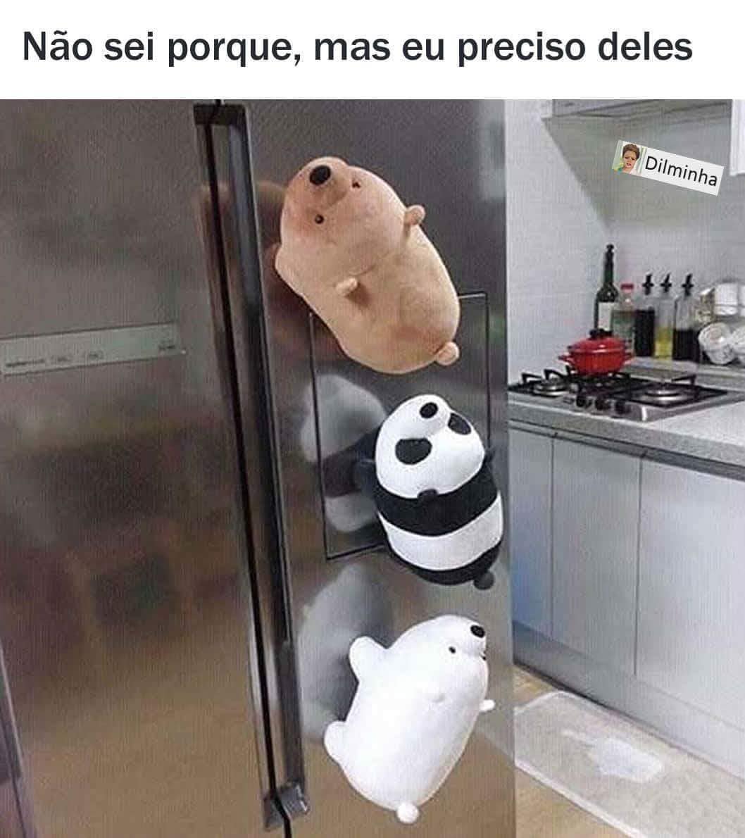 Não Sei Porque Mas Eu Preciso Deles Memes 1006