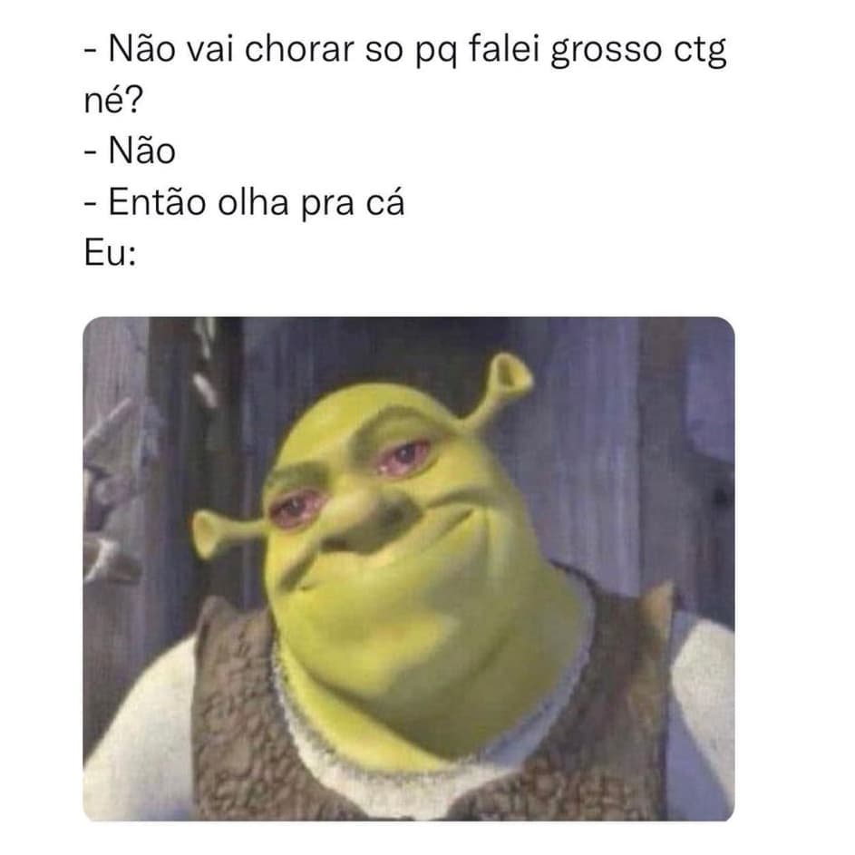 Não vai chorar so pq falei grosso ctg né? Não. Então olha pra cá. Eu: